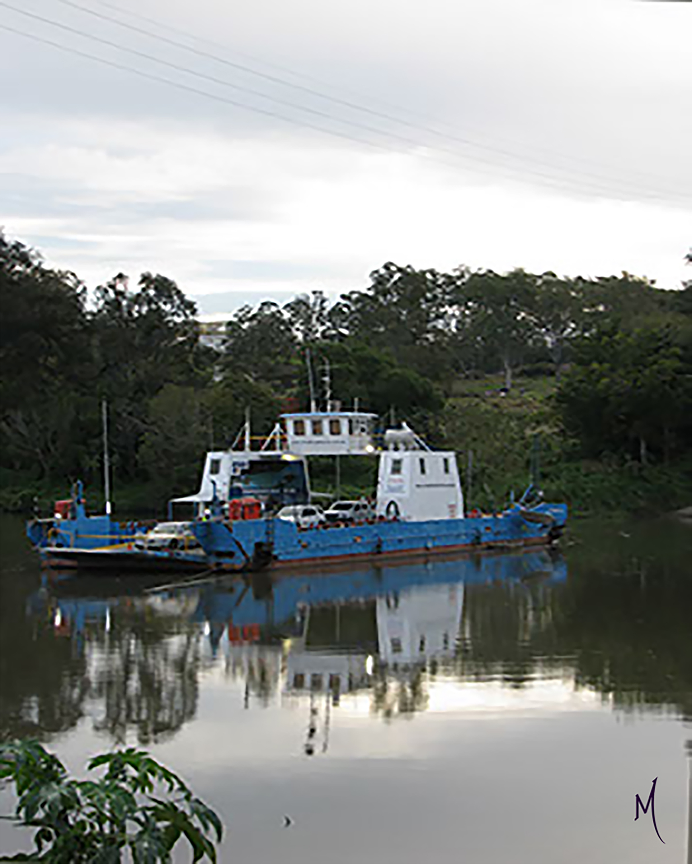 brisbane-ferry
