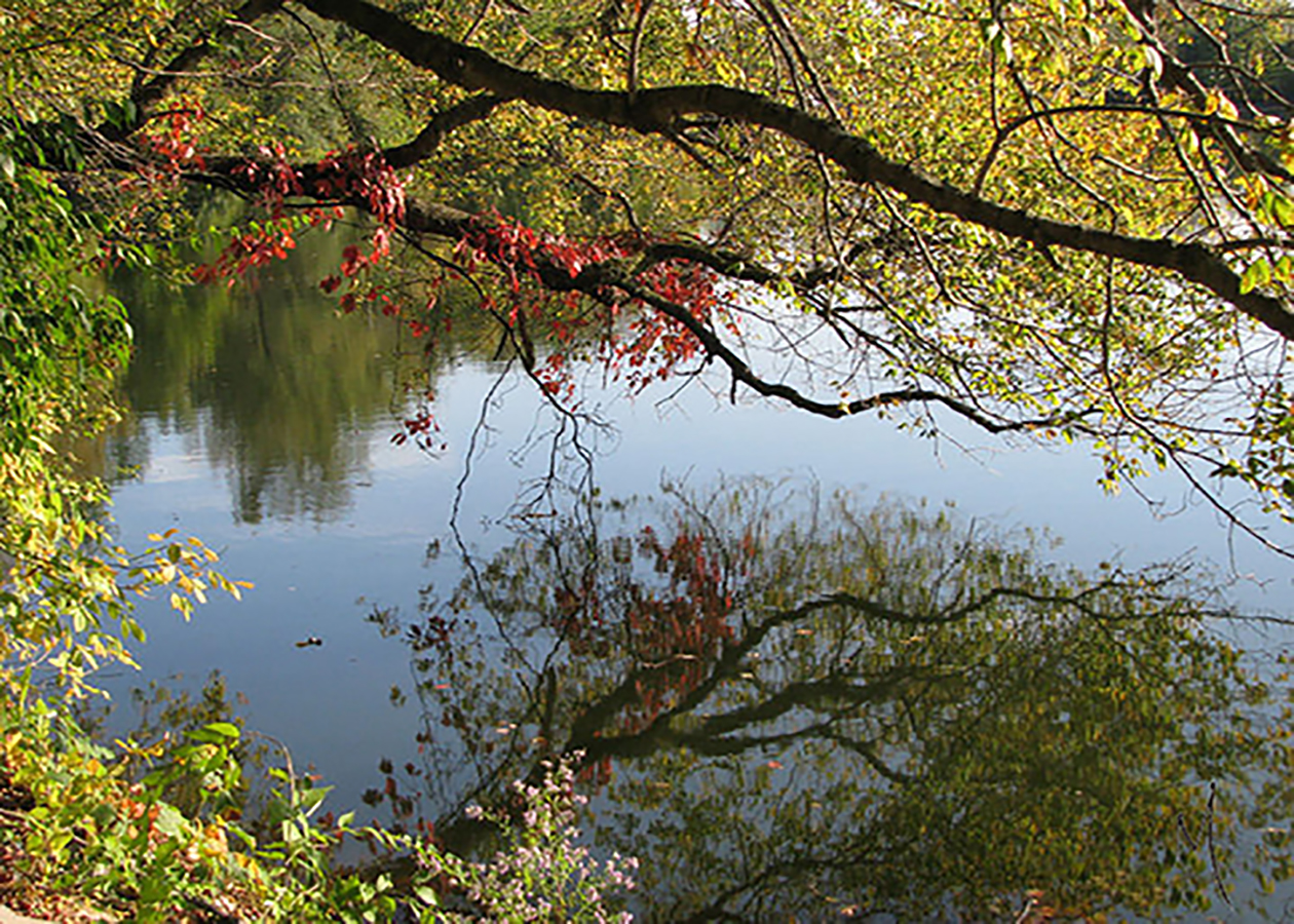 reflections