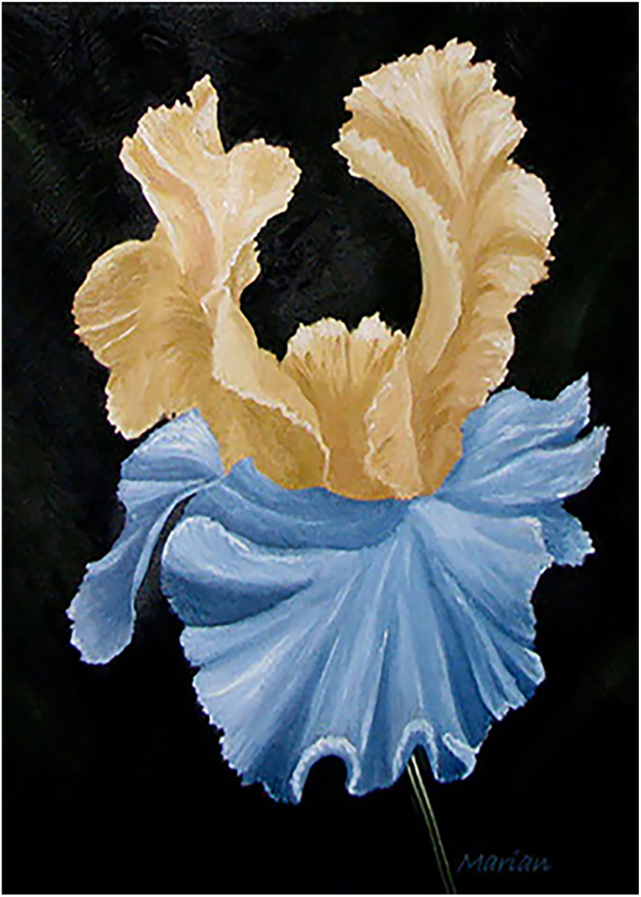 dancing iris