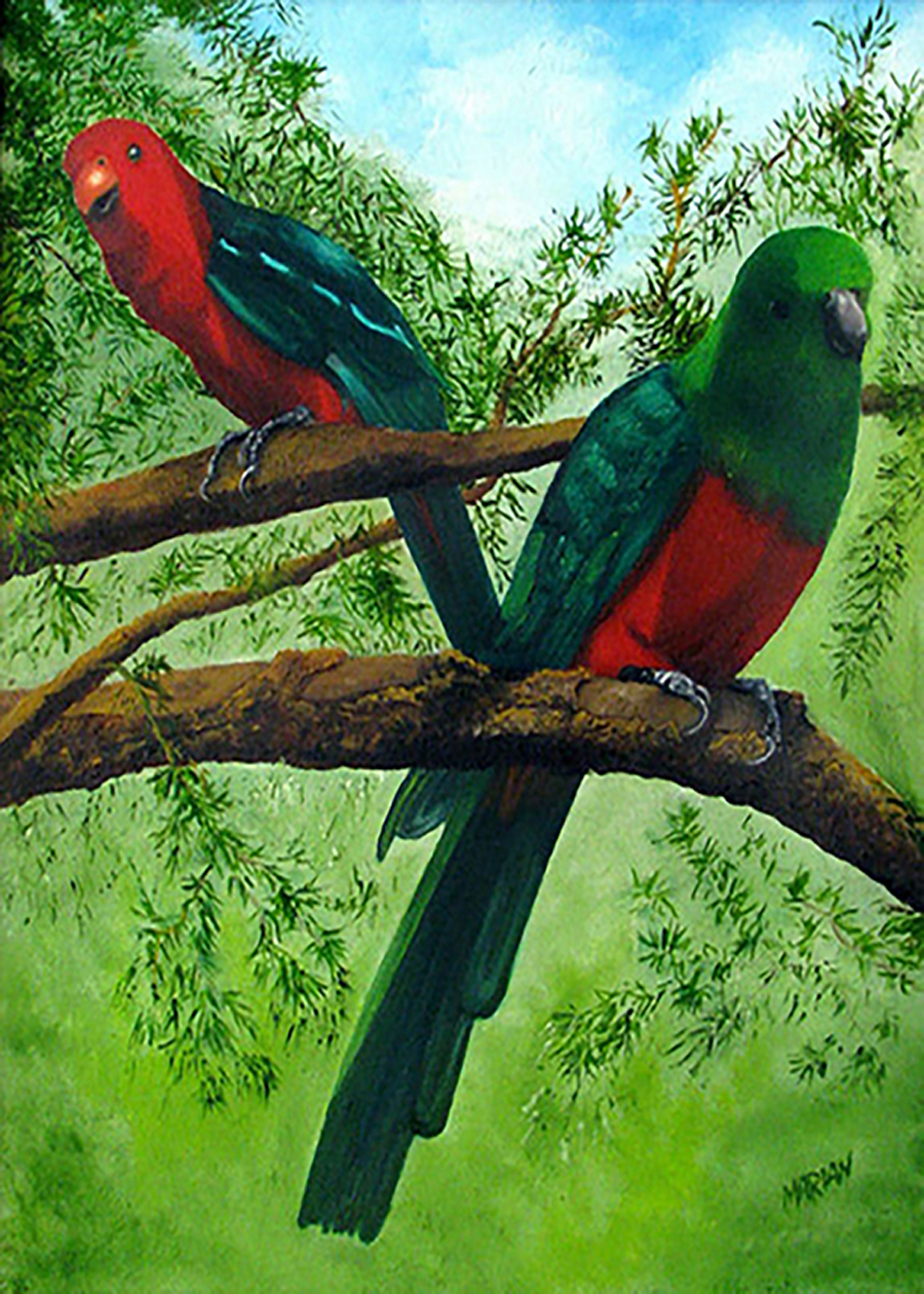 King Parrots
